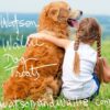 Watson and Wallie Natural Dog Treats - Drive Thru Vendor