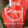 Cultivations - Drive Thru Vendor
